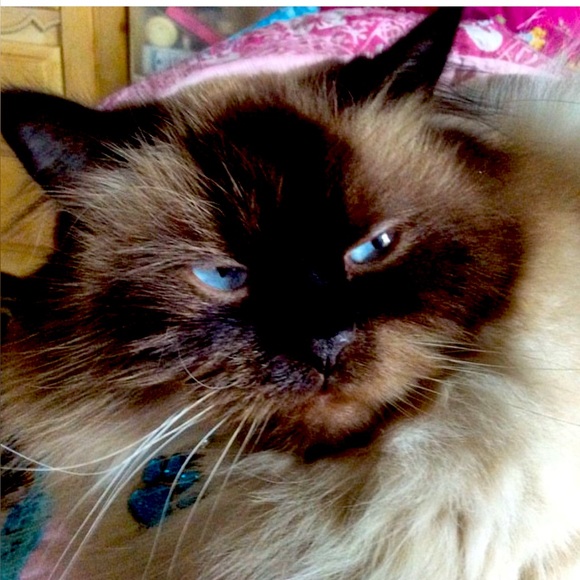 Meet your Posher, Maryann - Picture 1 of 1